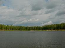 photograph