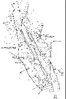hydrological map
