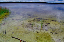 photograph